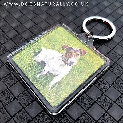 Jack Russell Keyring (Square)